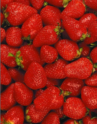 草莓02
